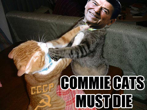 Even the animals are affected.